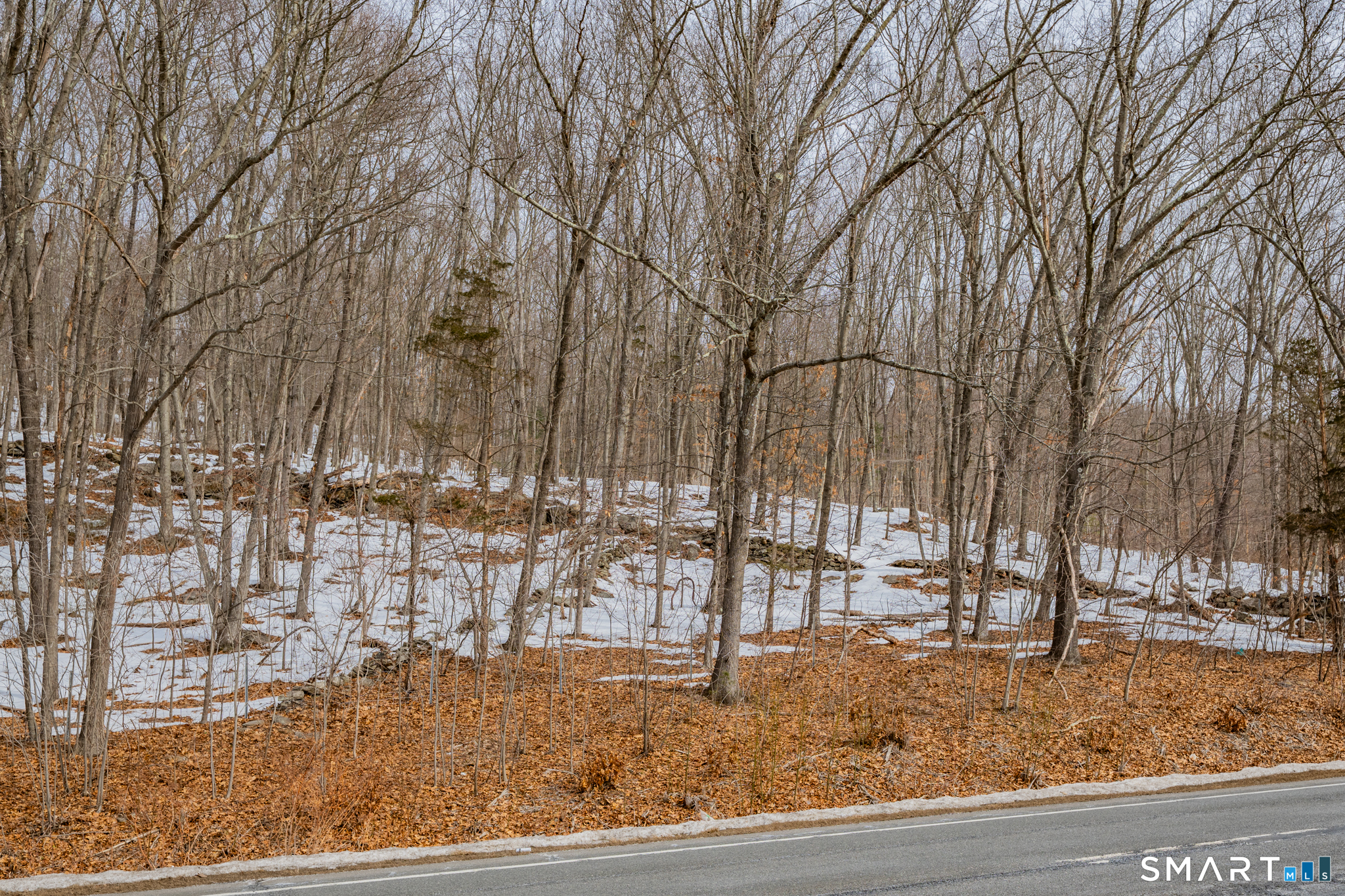 Frost Bridge Road Watertown, CT 06779 - Photo 26 of 40 a view of outdoor space