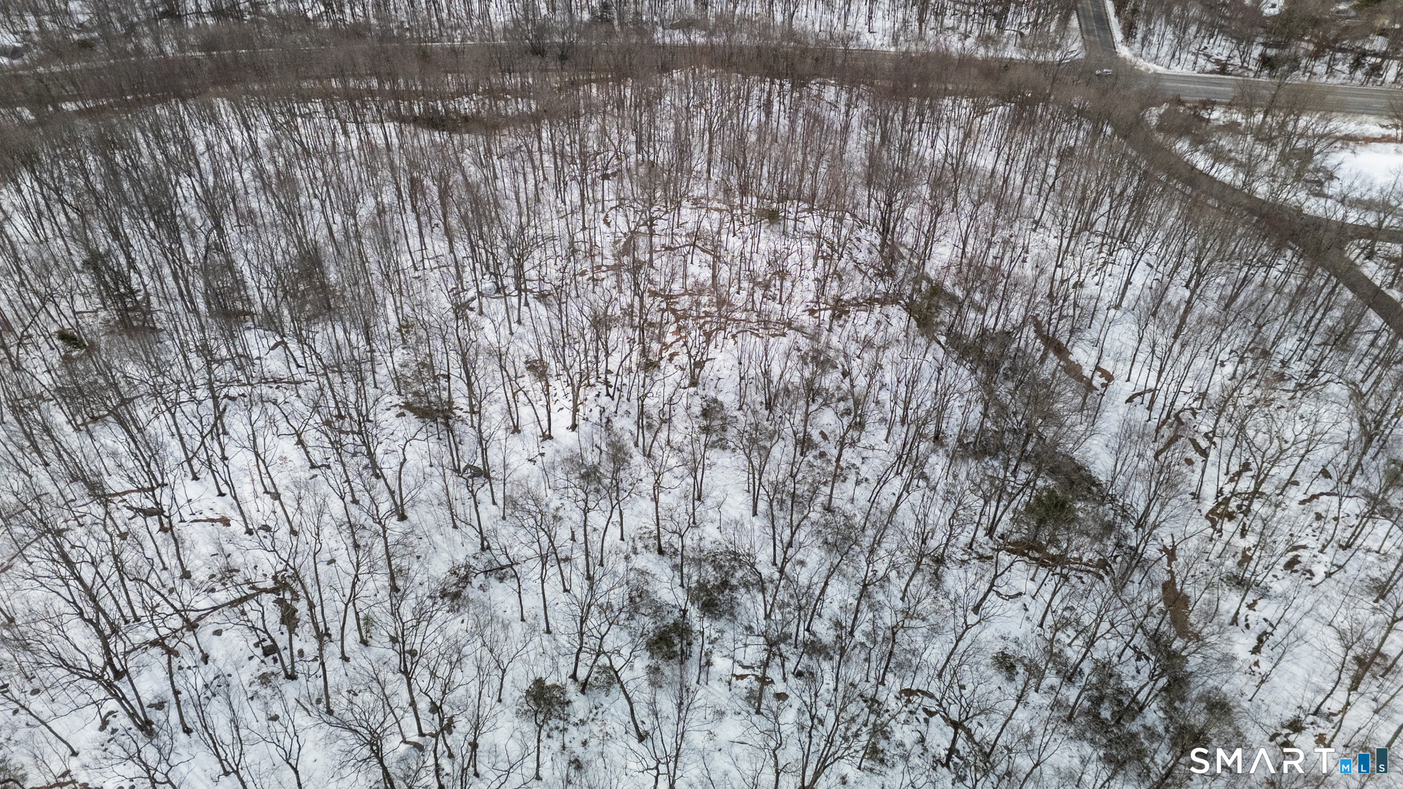 Frost Bridge Road Watertown, CT 06779 - Photo 37 of 40 a view of a forest with a tree