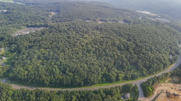 a view of a forest from a window
