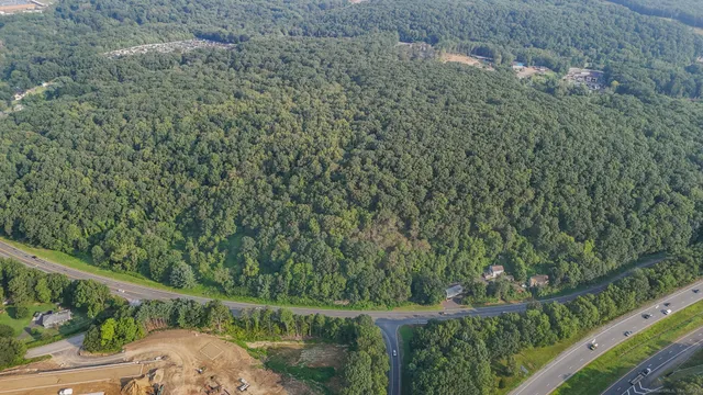 a view of a lush green forest with a lake