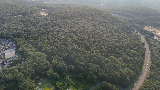 a view of a dry yard