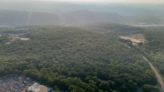 a view of a back yard