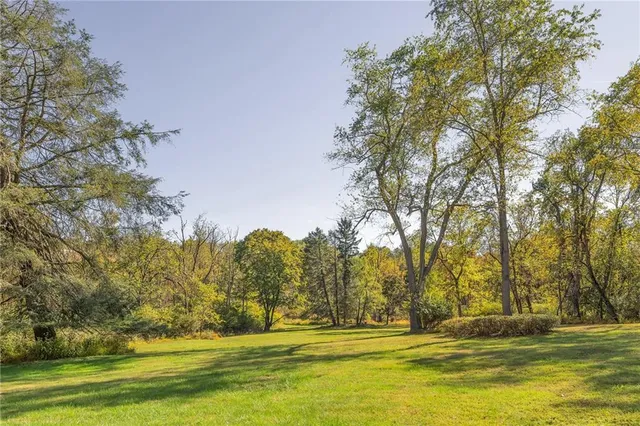 a view of a yard with large trees