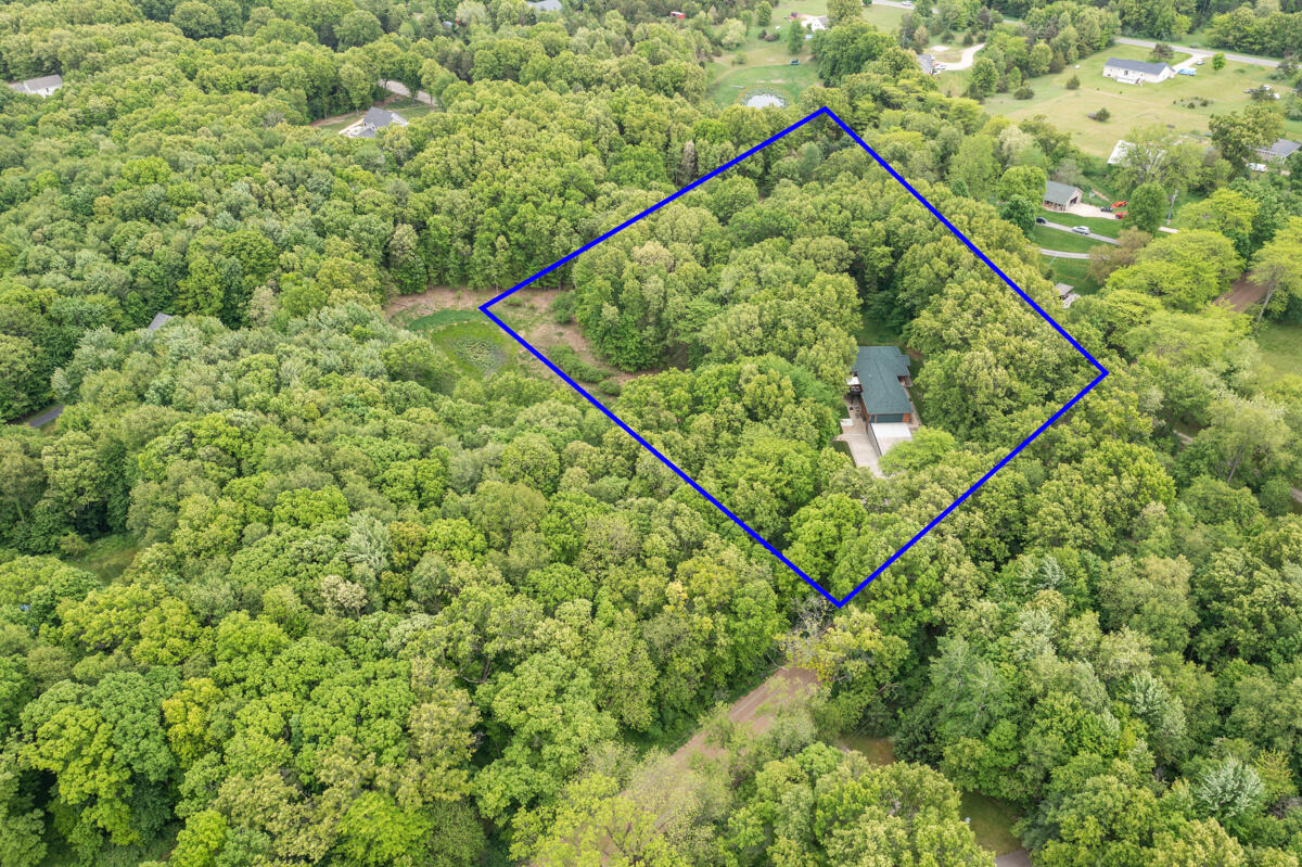 1708 North Norris Road Middleville, MI 49333 - Photo 2 of 56 IMG_1000 plot line