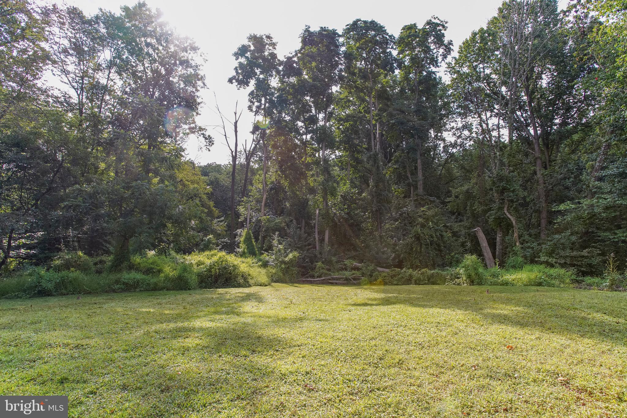 123 Deerfield Road Broomall, PA 19008 - Photo 4 of 20 Scenic Rear Yard 1 acre Plus !!!