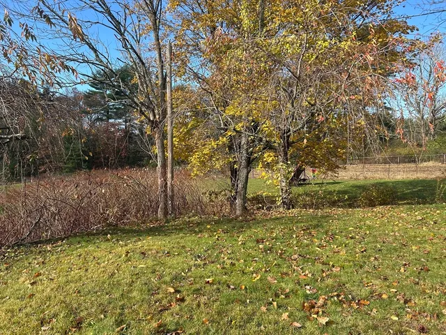 a backyard of a house with large trees