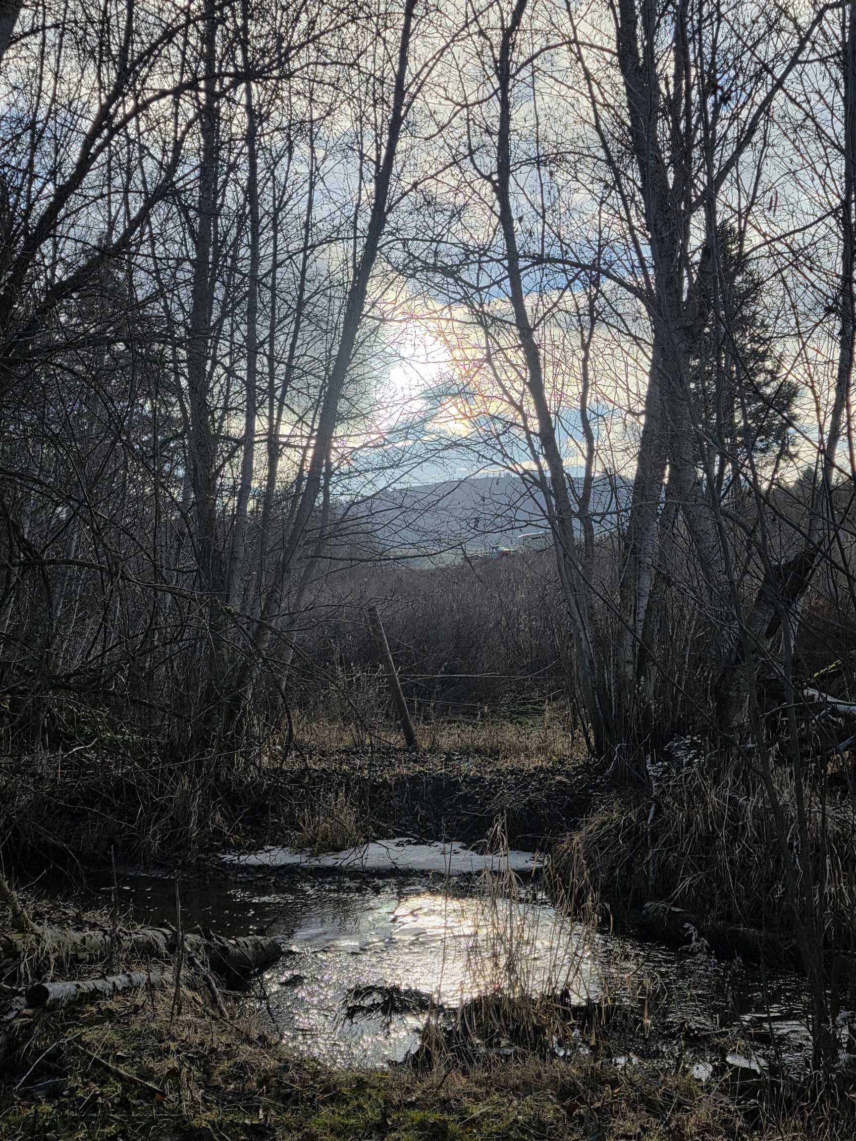 2477 Cedonia-Addy Road Addy, WA 99101 - Photo 42 of 50