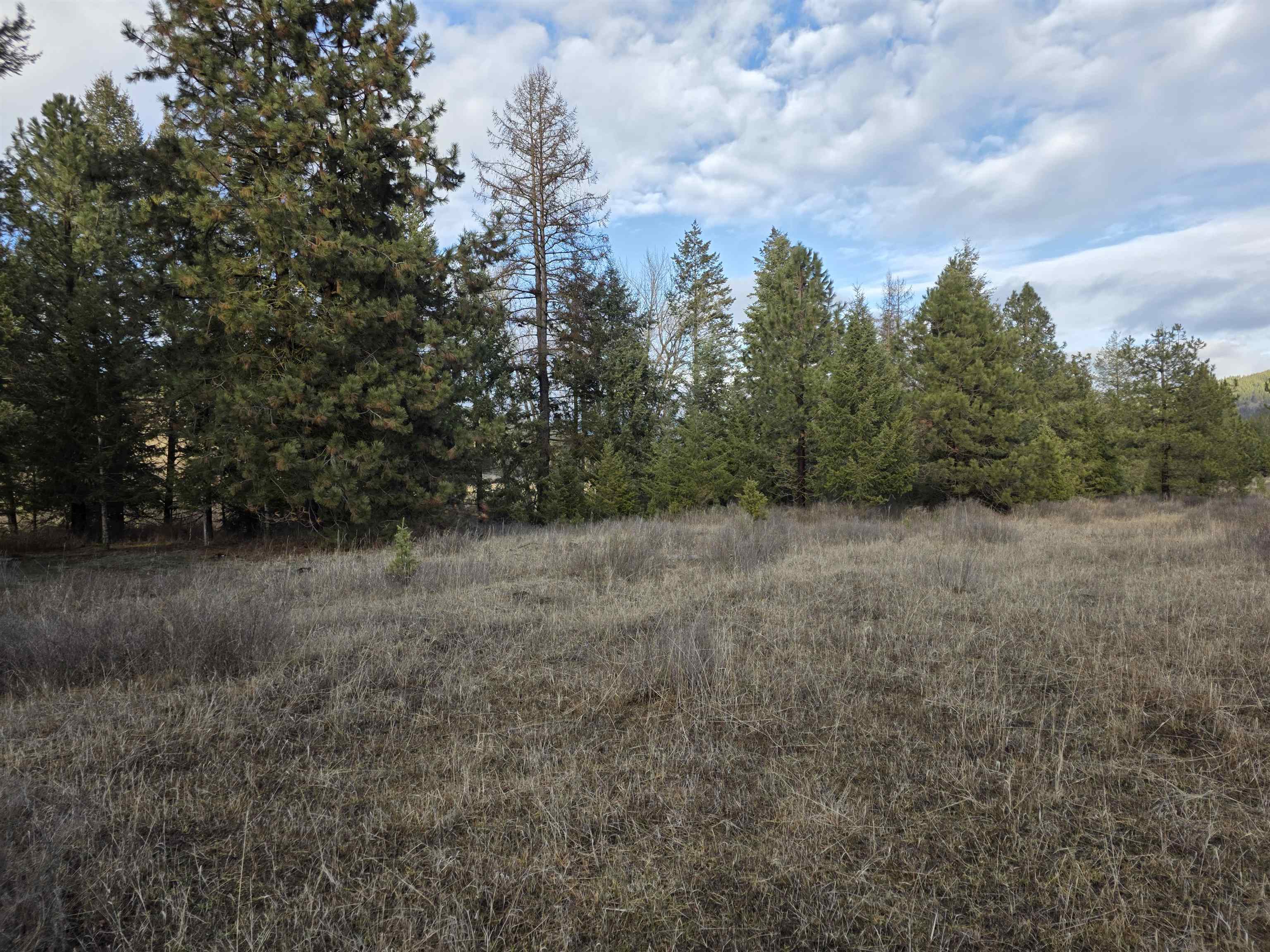 2477 Cedonia-Addy Road Addy, WA 99101 - Photo 45 of 50