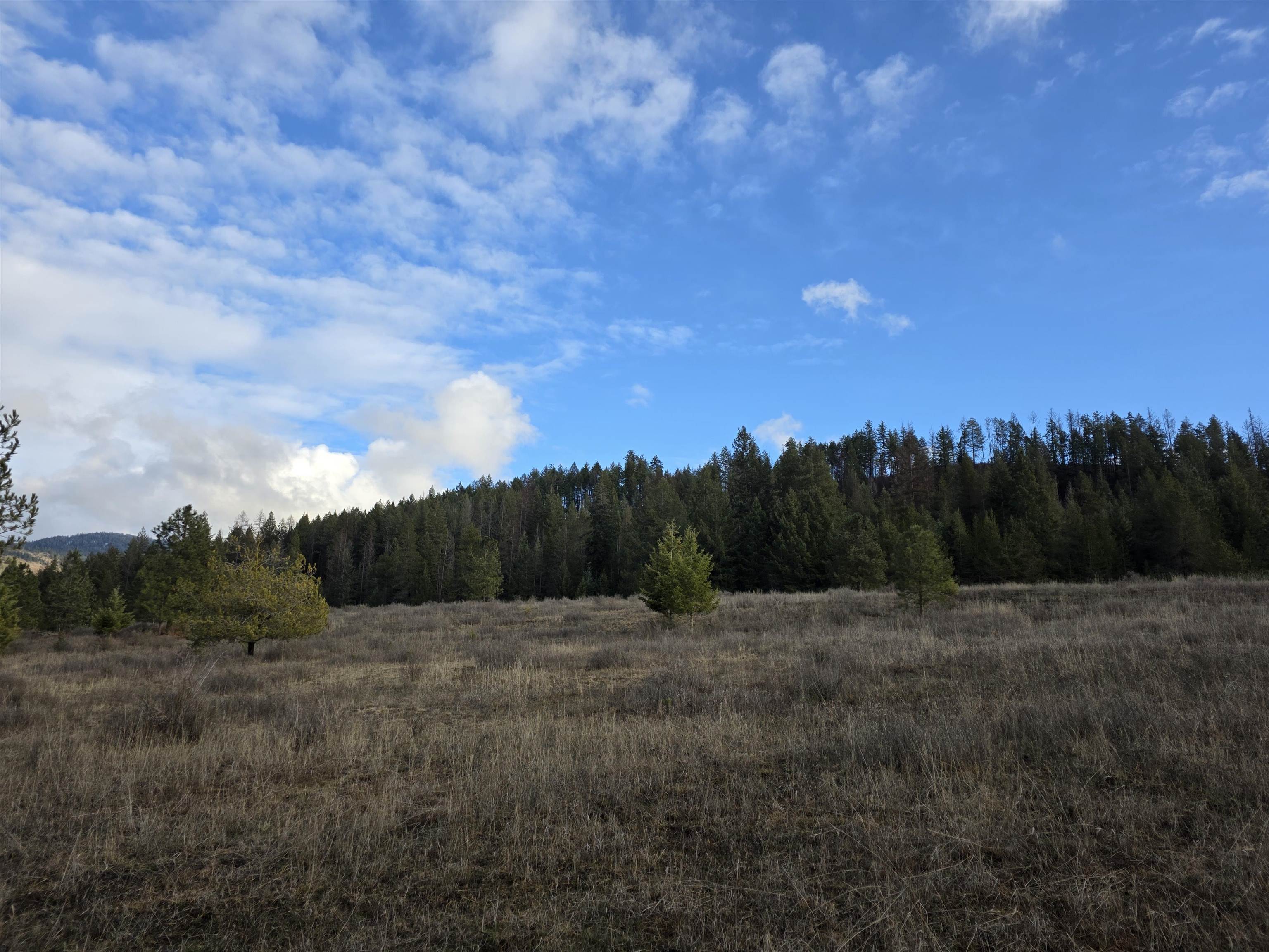 2477 Cedonia-Addy Road Addy, WA 99101 - Photo 46 of 50