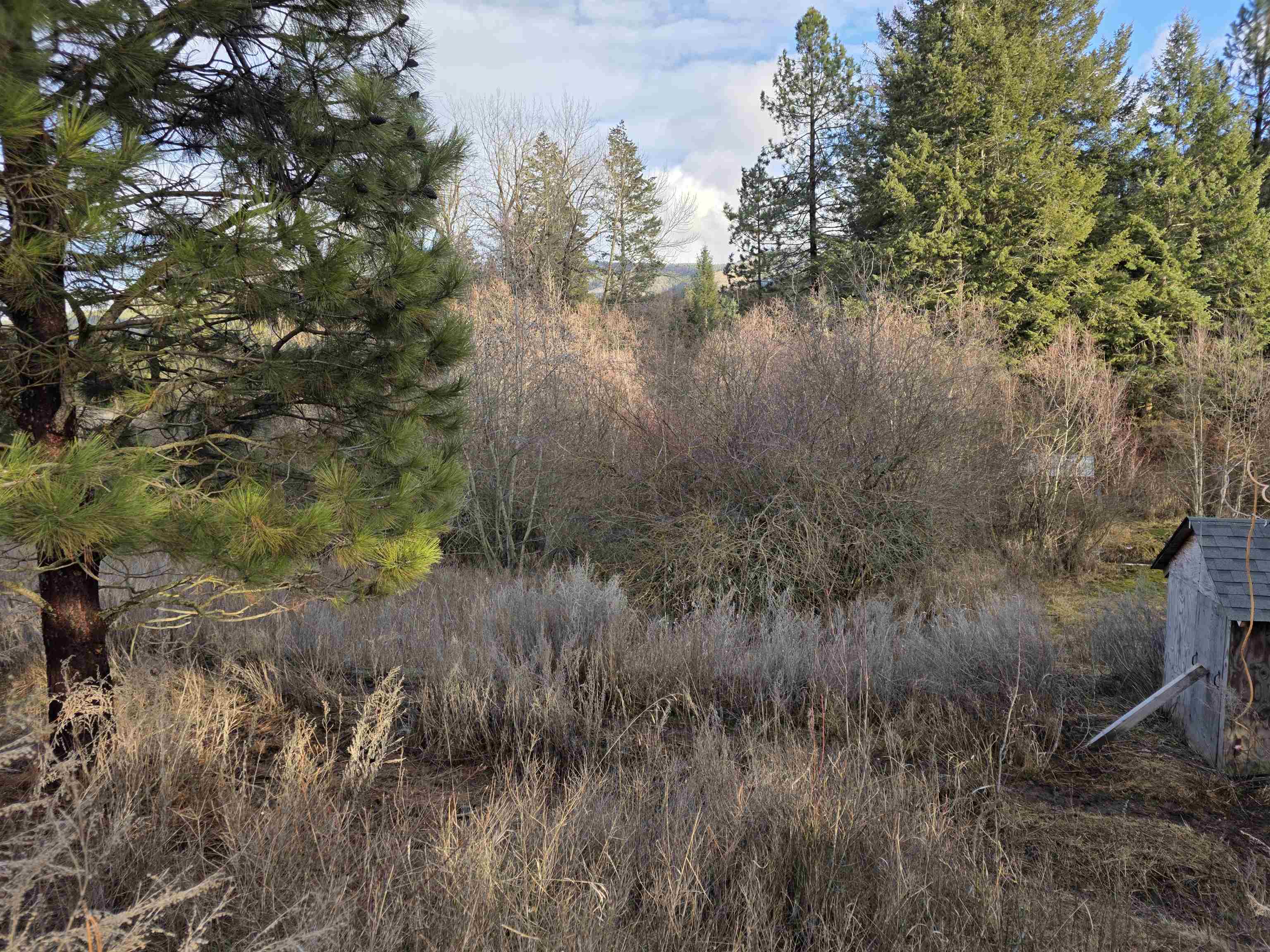 2477 Cedonia-Addy Road Addy, WA 99101 - Photo 47 of 50