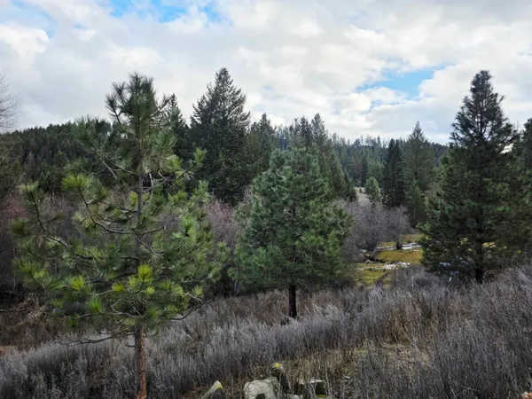 $289,000 | 2477 Cedonia-Addy Road, Addy, WA 99101