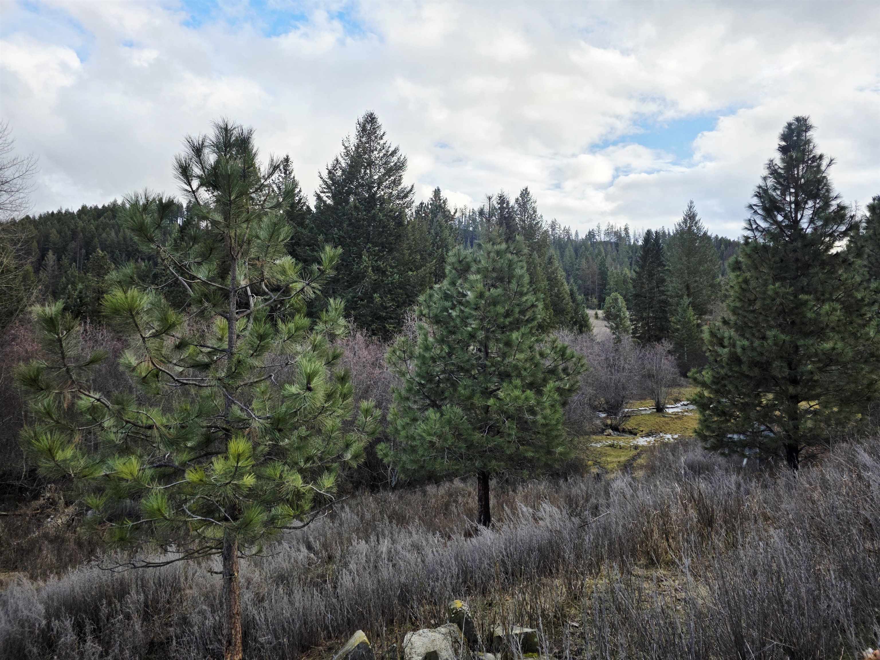 2477 Cedonia-Addy Road Addy, WA 99101 - Photo 5 of 50