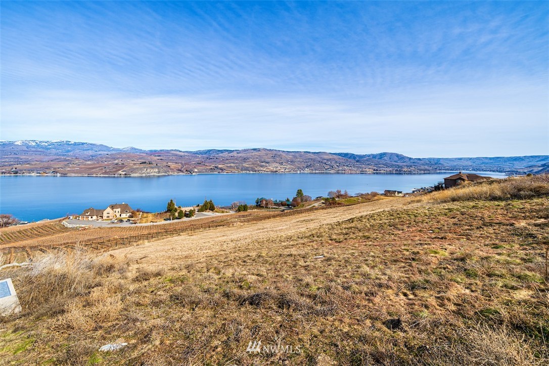 313 Clos Chevalle Road Chelan, WA 98816 - Photo 9 of 12 Gallery Image 9
