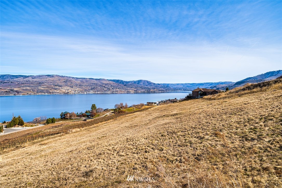 313 Clos Chevalle Road Chelan, WA 98816 - Photo 10 of 12 Gallery Image 10