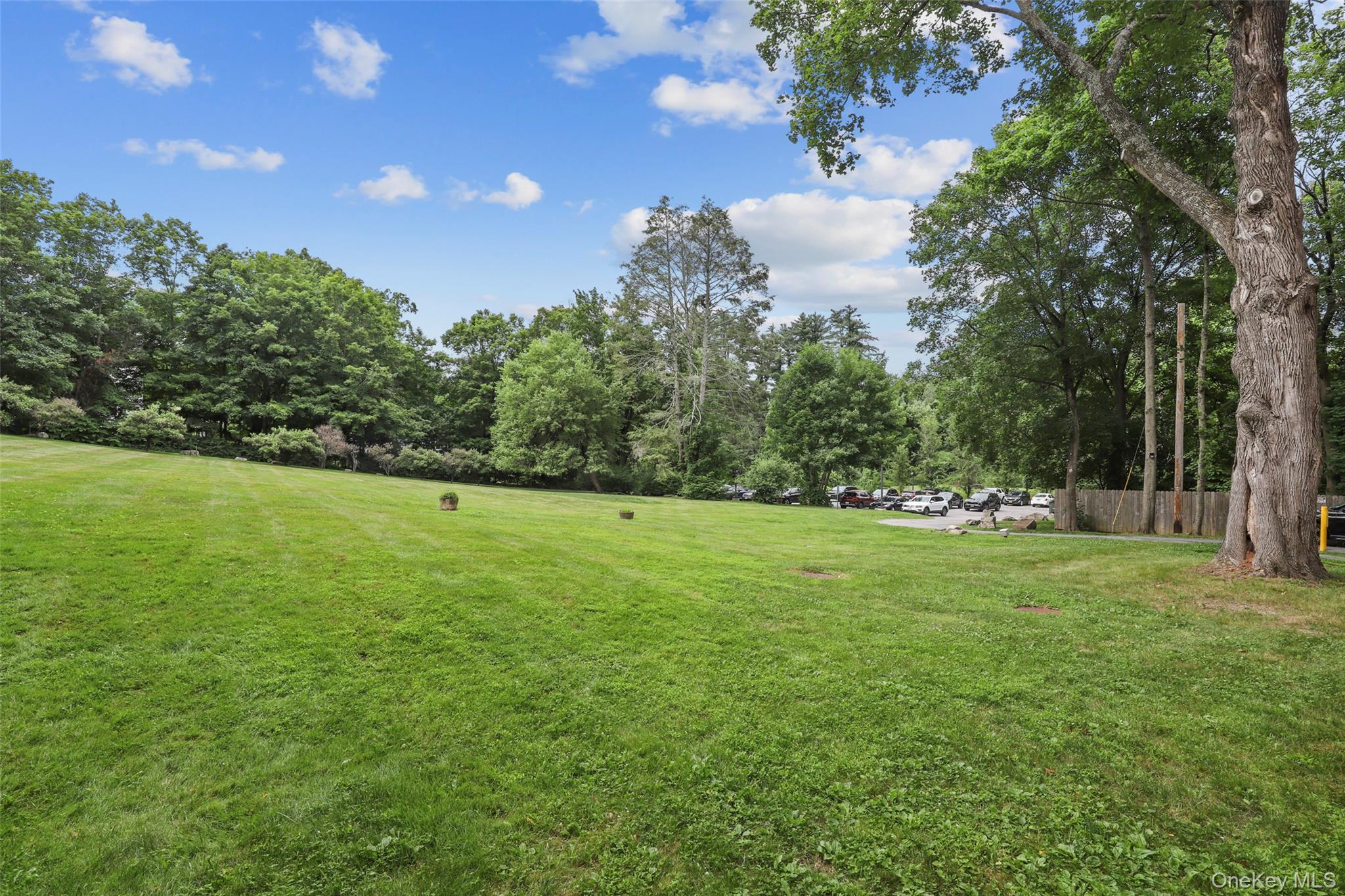 633 Old Post Road, Unit 32 Bedford, NY 10506 - Photo 8 of 10 View of grassy yard