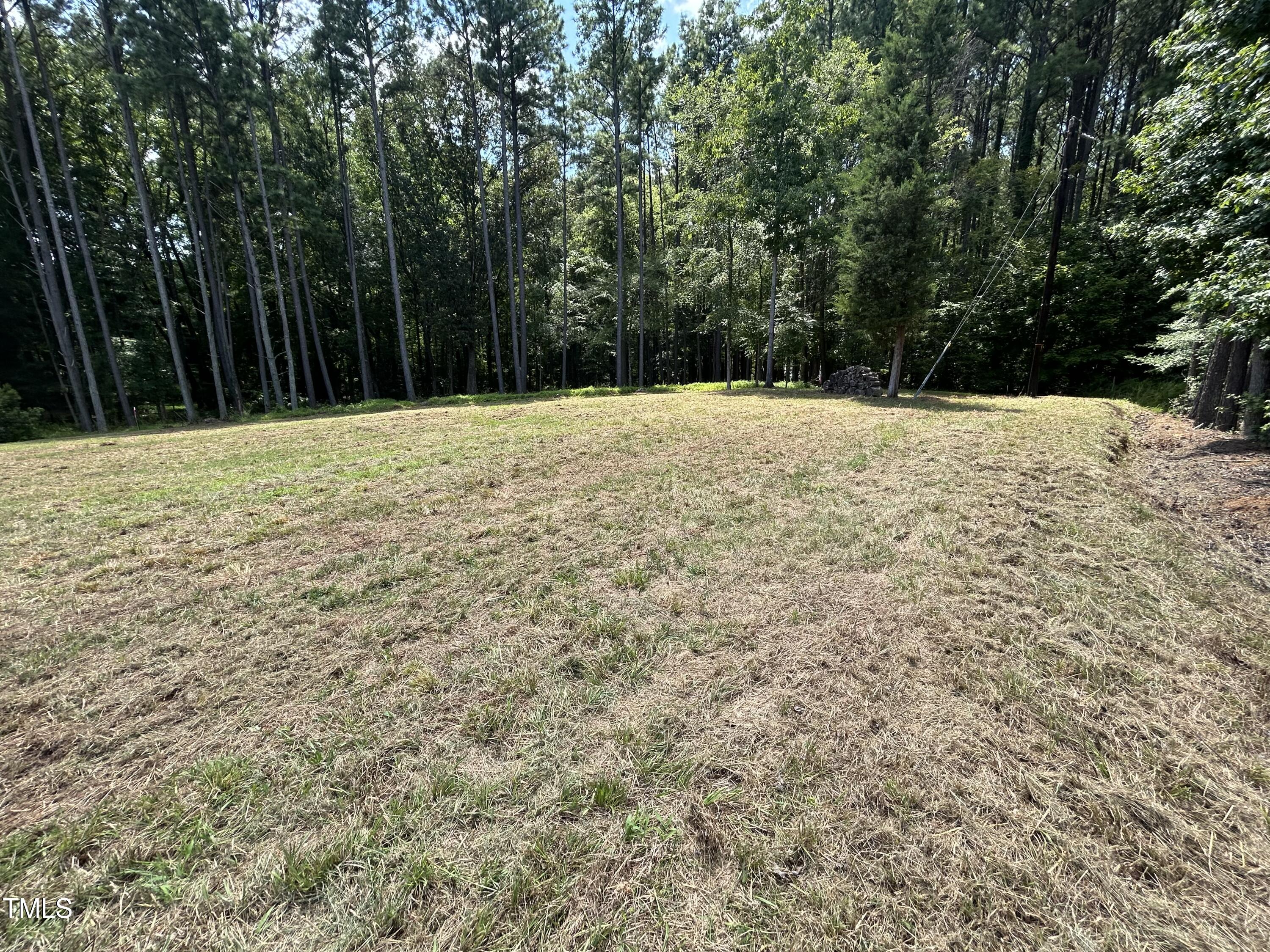 317 Doc Lane Manson, NC 27553 - Photo 11 of 22 a view of large yard