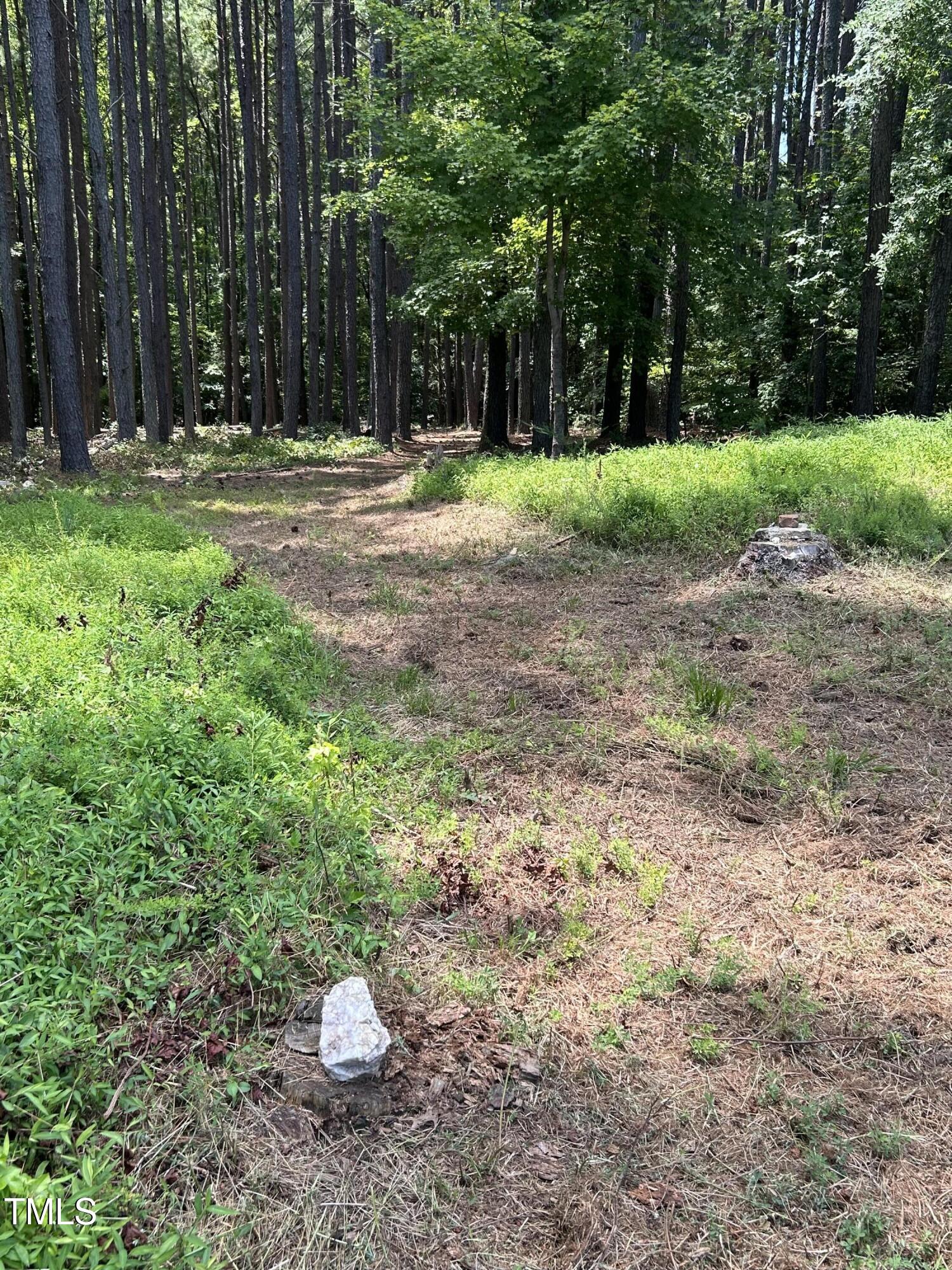 317 Doc Lane Manson, NC 27553 - Photo 13 of 22 a backyard of a house with lots of green space
