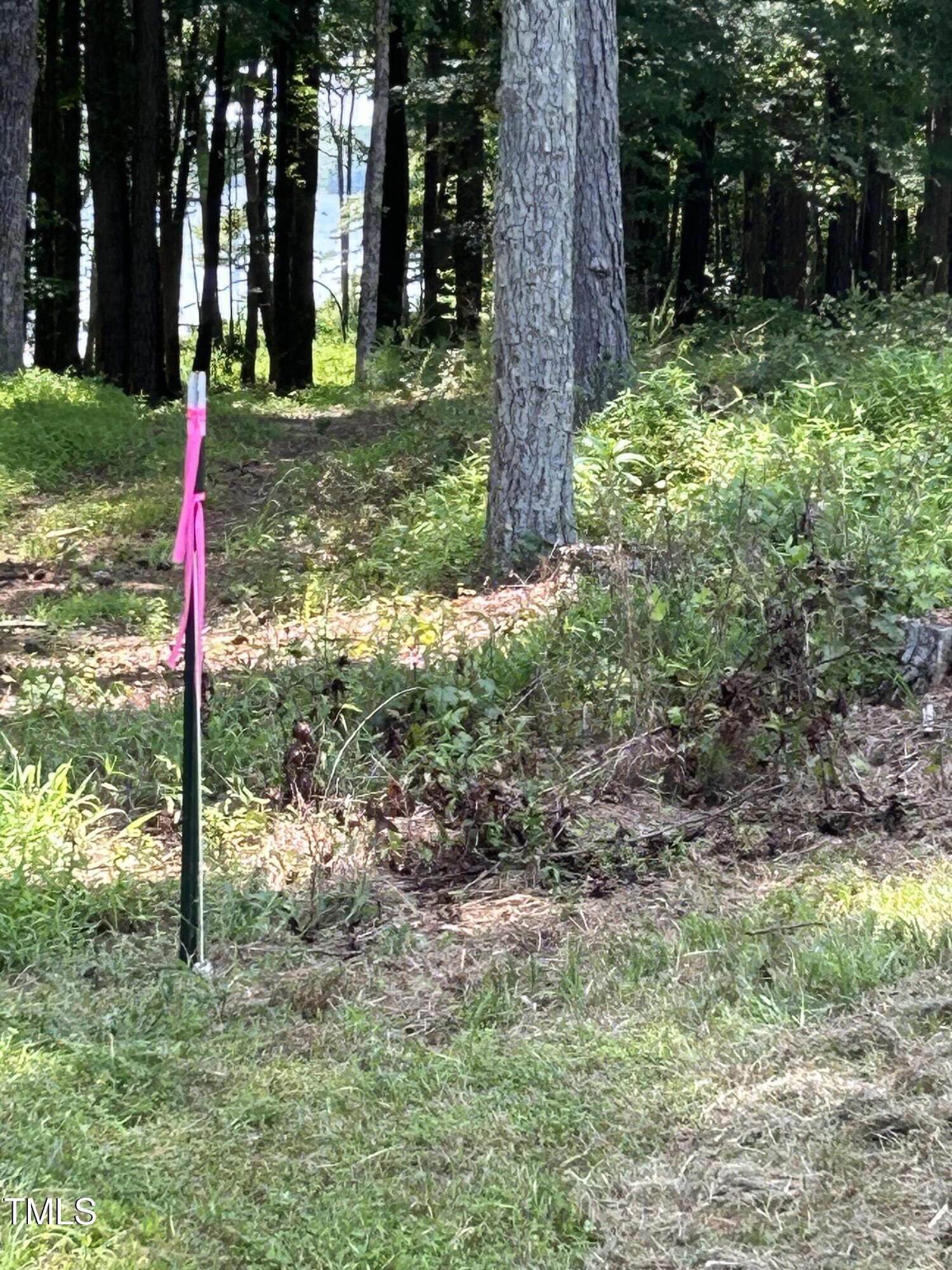 317 Doc Lane Manson, NC 27553 - Photo 15 of 22 a view of a tree in a yard