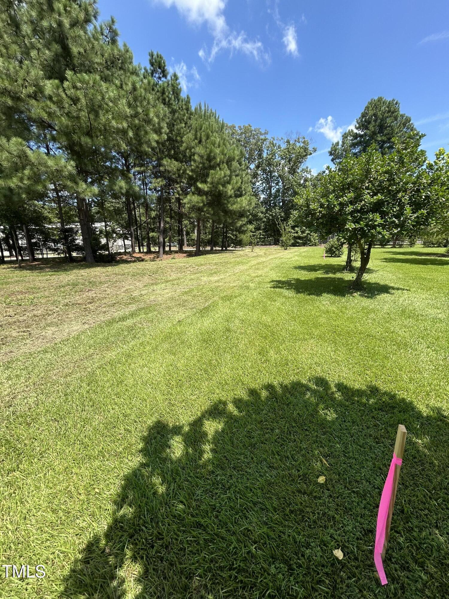 317 Doc Lane Manson, NC 27553 - Photo 18 of 22 a view of swimming pool with a yard