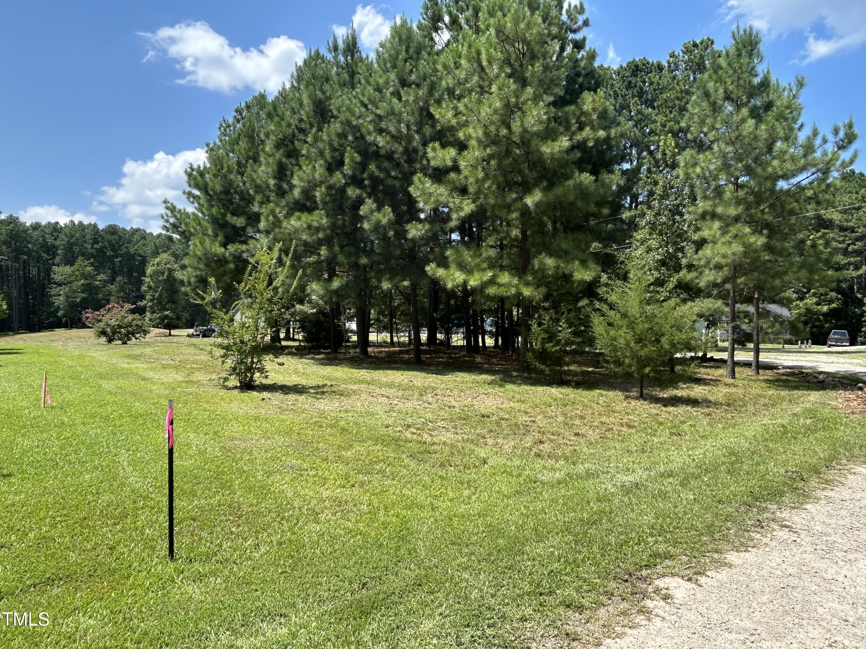 317 Doc Lane Manson, NC 27553 - Photo 19 of 22 a view of yard with green space