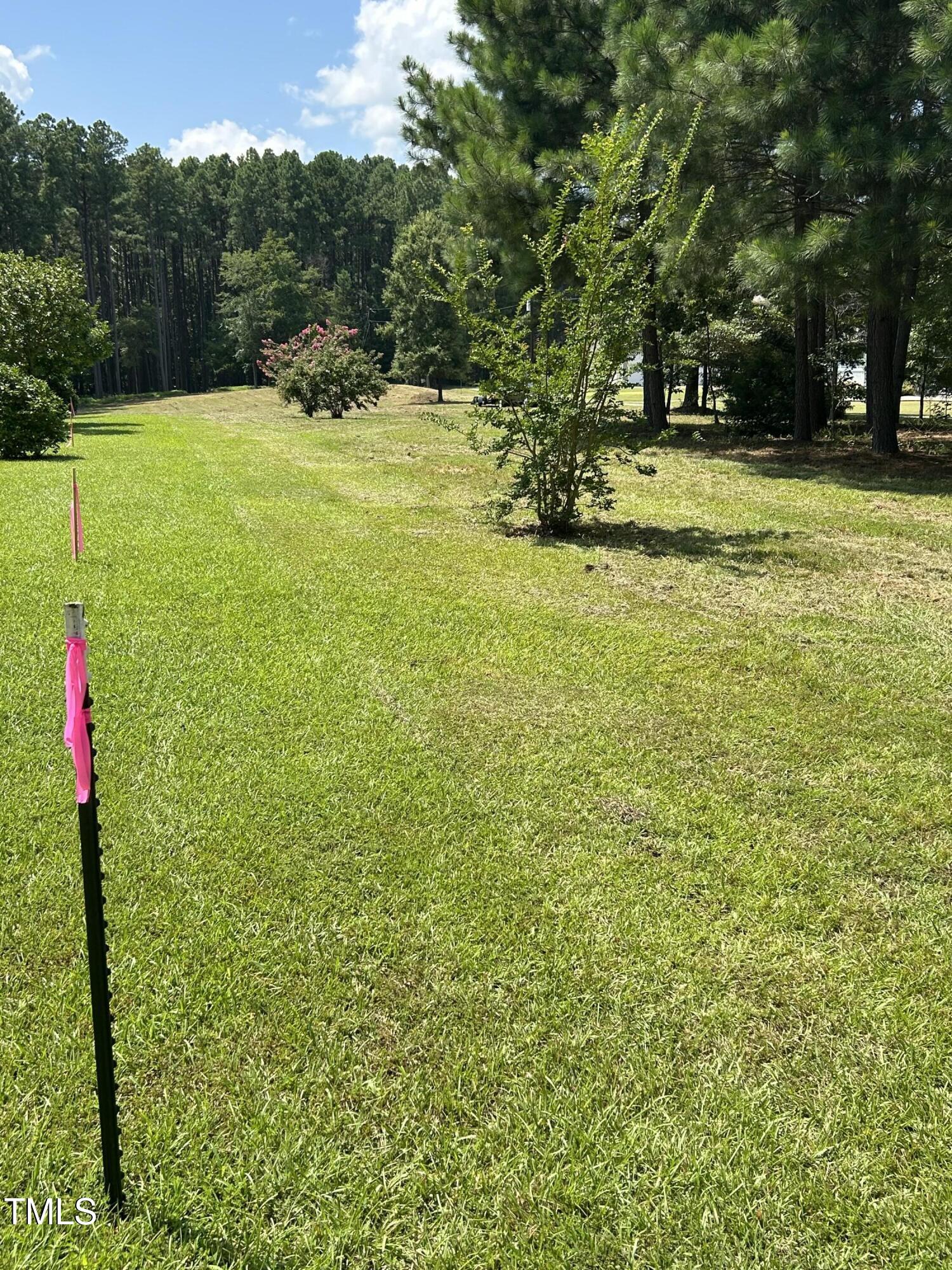 317 Doc Lane Manson, NC 27553 - Photo 20 of 22 a view of a yard with a tree