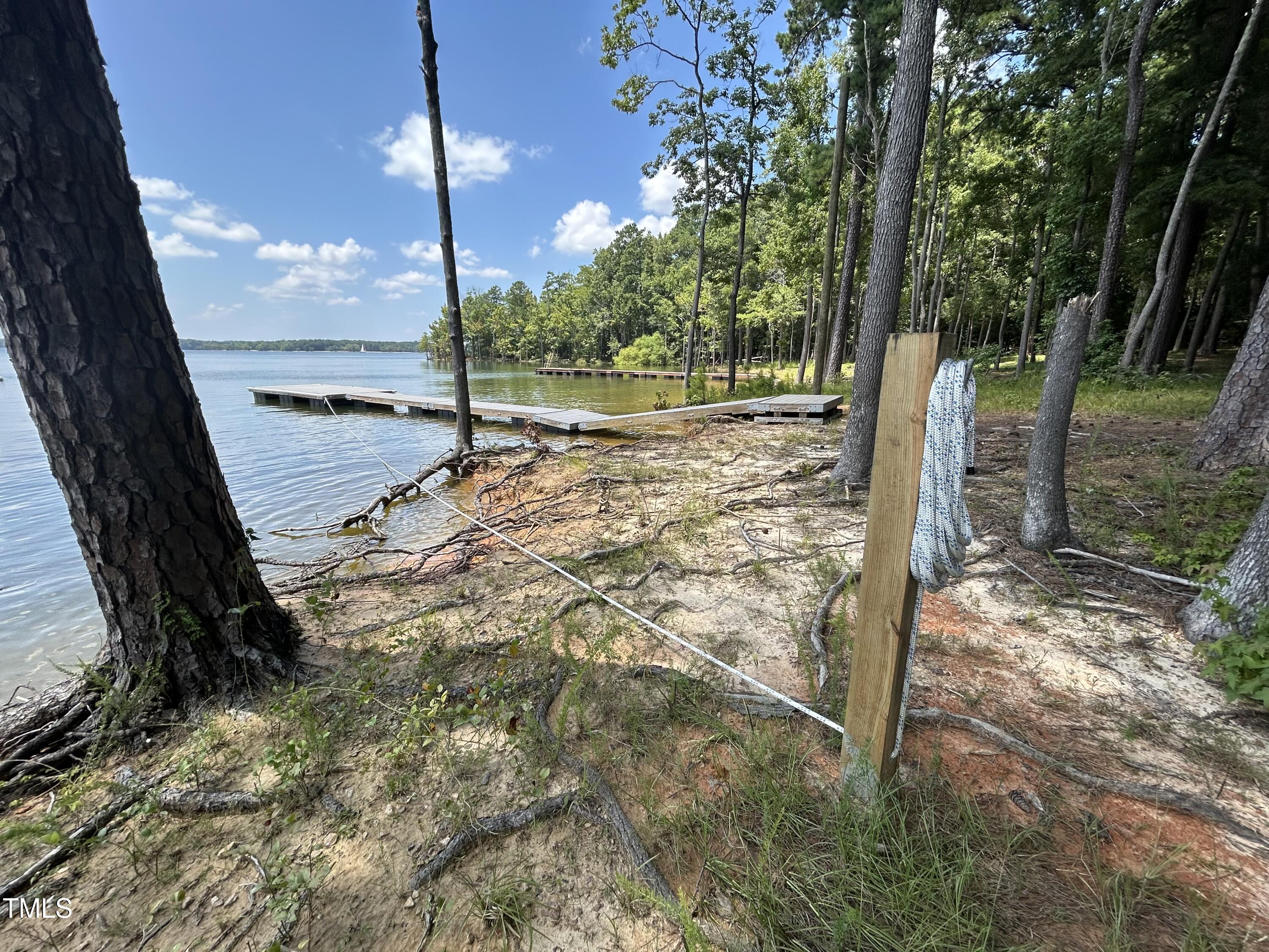317 Doc Lane Manson, NC 27553 - Photo 3 of 22 a view of a yard with a tree