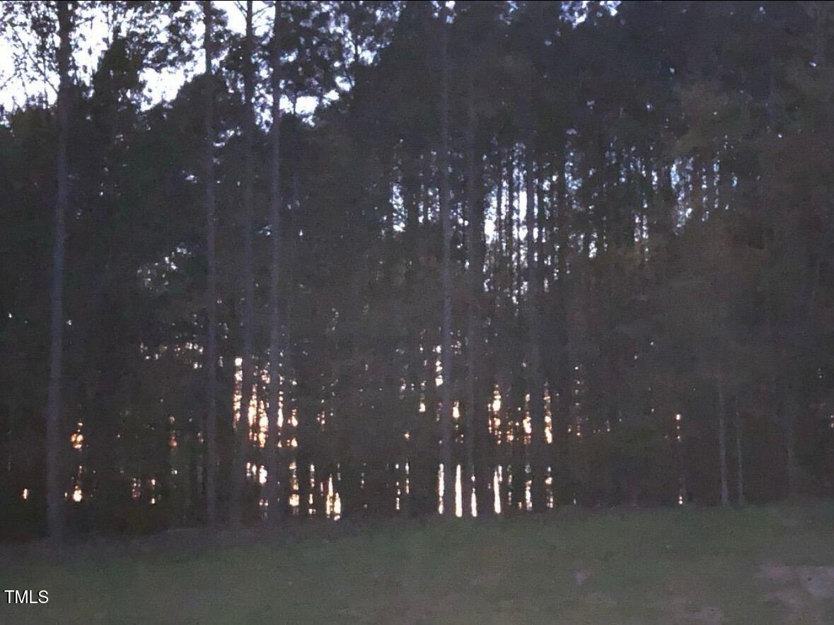 317 Doc Lane Manson, NC 27553 - Photo 6 of 22 a room with lots of lights and tree