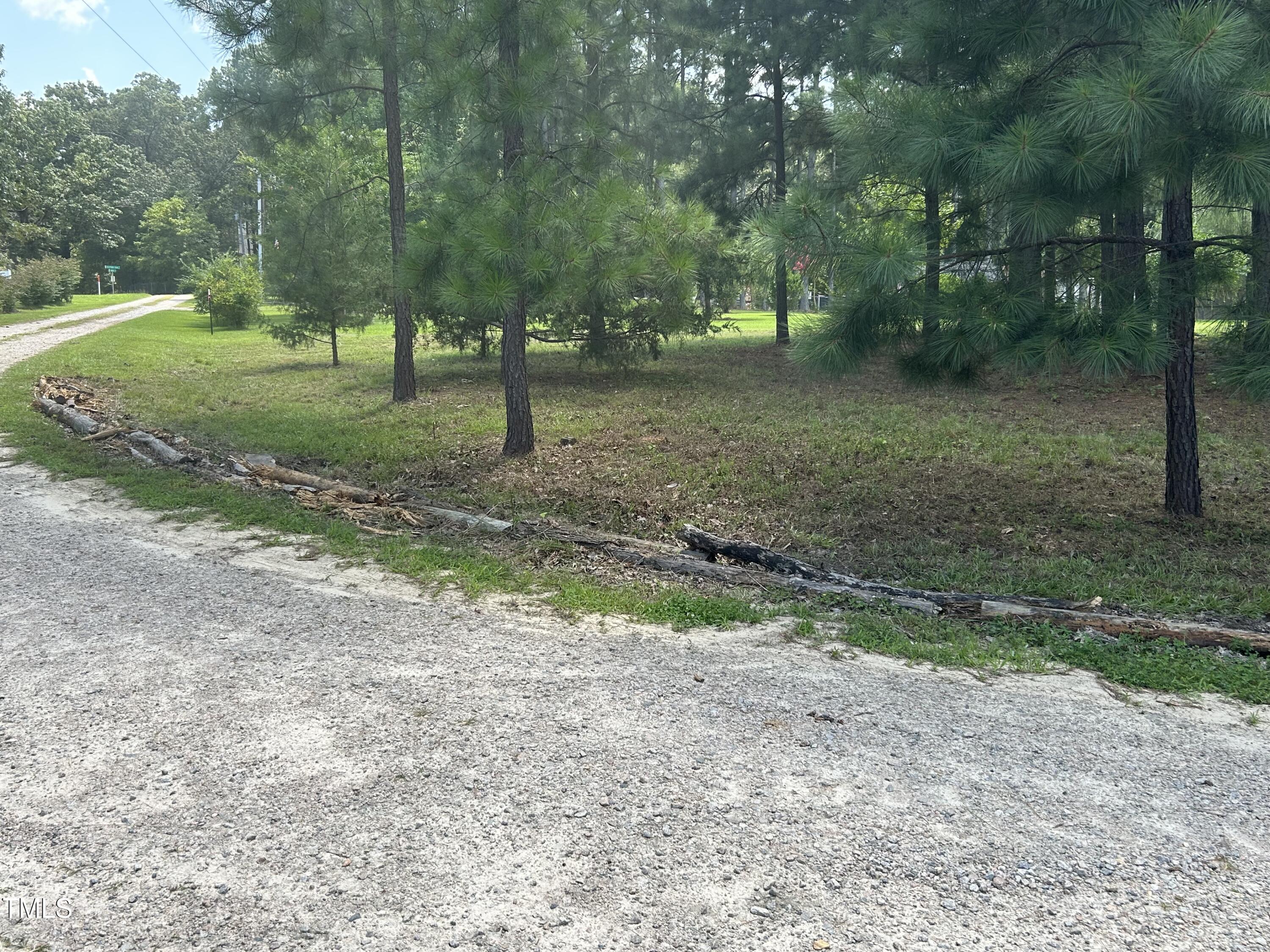 317 Doc Lane Manson, NC 27553 - Photo 8 of 22 a view of a park