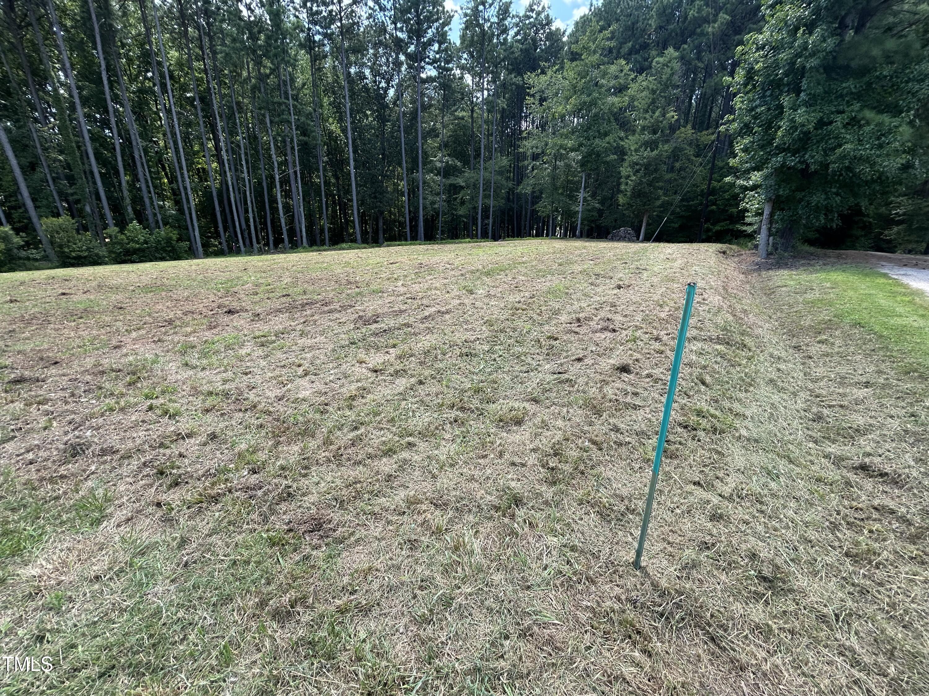 317 Doc Lane Manson, NC 27553 - Photo 10 of 22 a view of an outdoor space and yard