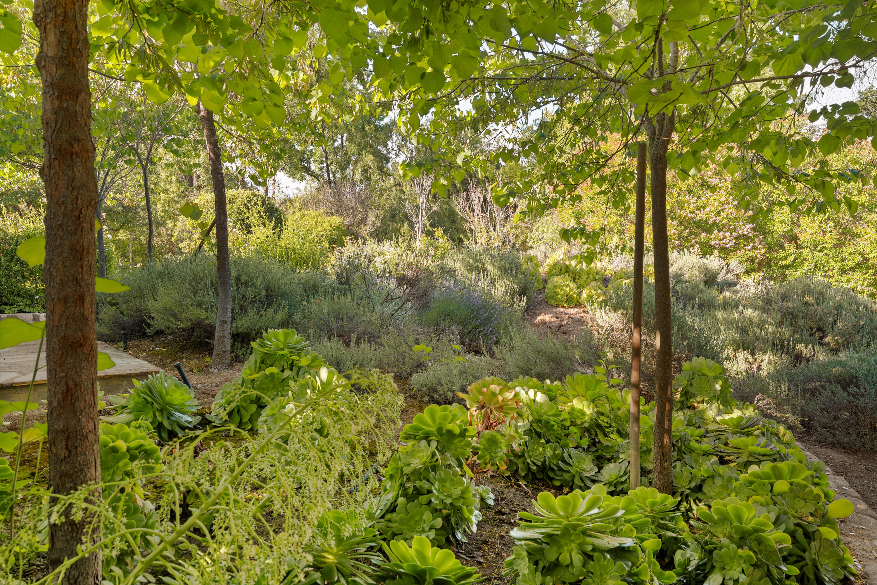 813 Country Club Road Ojai, CA 93023 - Photo 20 of 31 Sideyard
