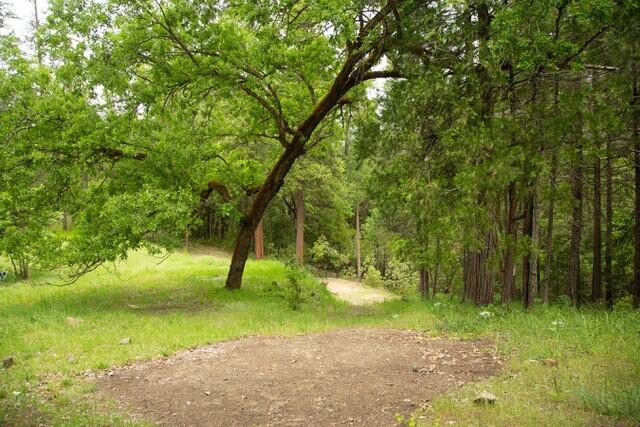 10041 Highway 299, Unit 299 Burnt Ranch, CA 95527 - Photo 33 of 44