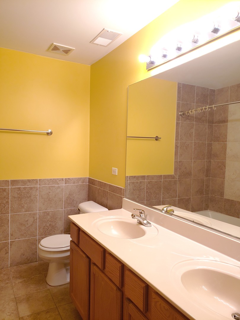 641 West Jonathan Drive Round Lake, IL 60073 - Photo 12 of 20 a bathroom with a sink and mirror with toilet