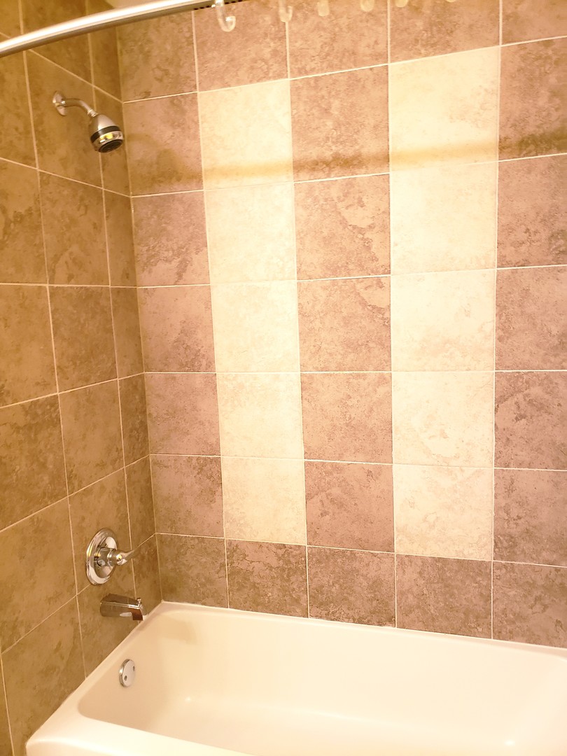 641 West Jonathan Drive Round Lake, IL 60073 - Photo 13 of 20 a bathroom with a bathtub and a shower