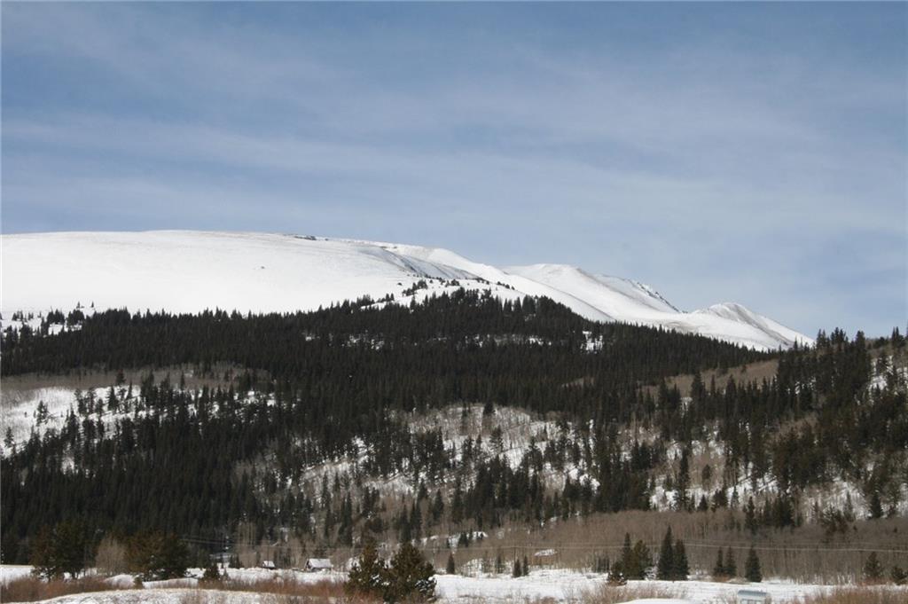 1732 Co 12 Road Alma, CO 80420 - Photo 3 of 25 Gallery Image 3