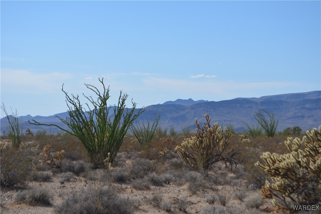 N7 Castle Butte Road Yucca, AZ 86438 - Photo 1 of 80 View