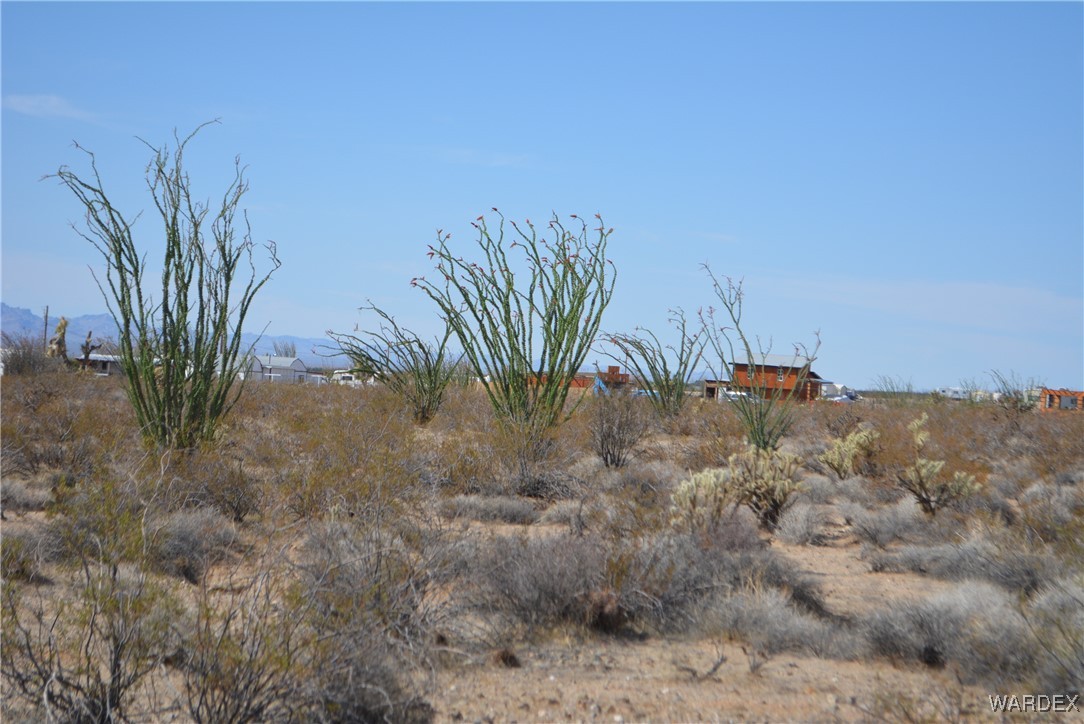 N7 Castle Butte Road Yucca, AZ 86438 - Photo 11 of 80 Other