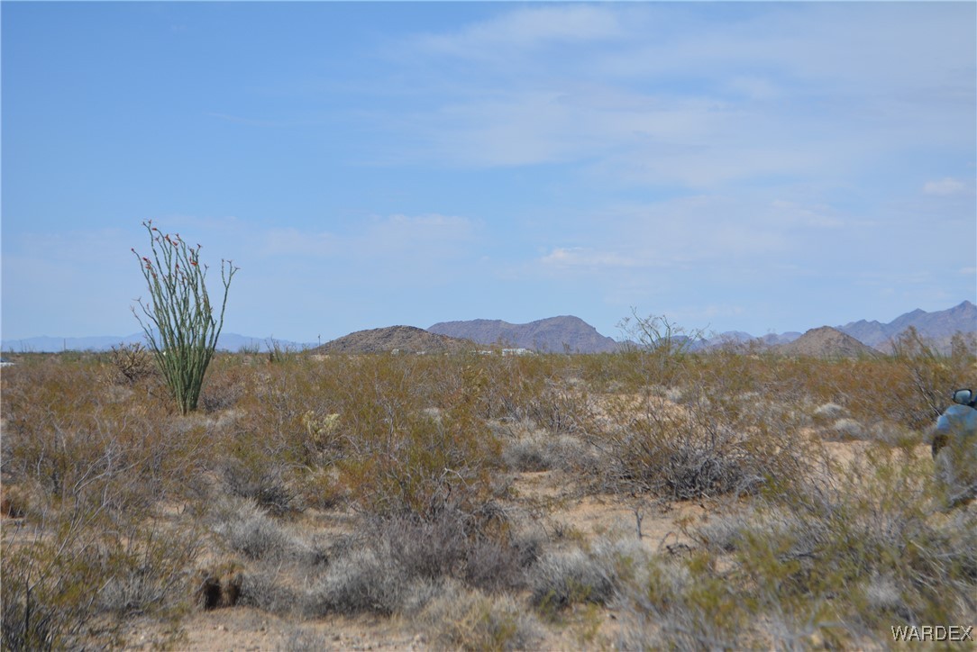 N7 Castle Butte Road Yucca, AZ 86438 - Photo 13 of 80 View