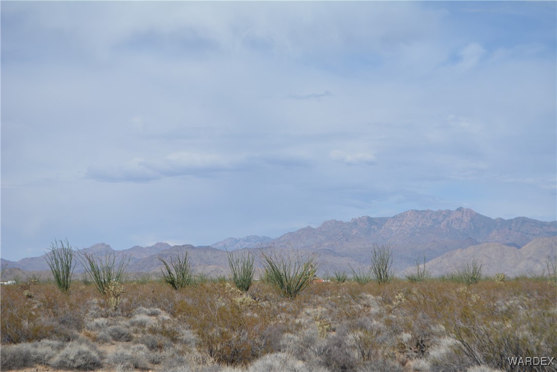 N7 Castle Butte Road Yucca, AZ 86438 - Photo 14 of 80 View