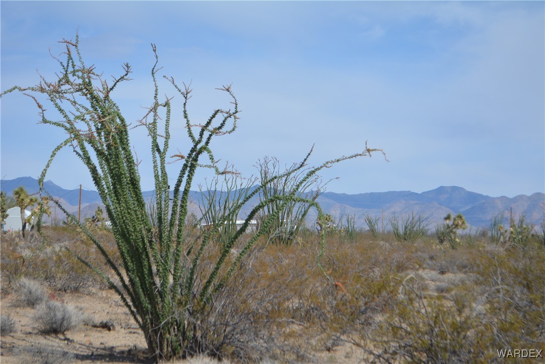 N7 Castle Butte Road Yucca, AZ 86438 - Photo 19 of 80 View