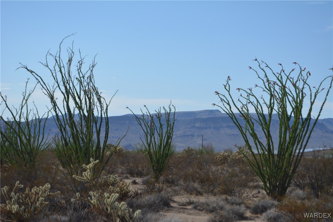 N7 Castle Butte Road Yucca, AZ 86438 - Photo 32 of 80 View