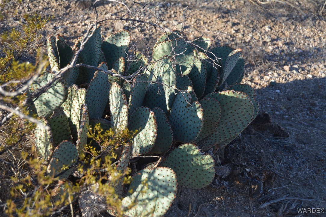 N7 Castle Butte Road Yucca, AZ 86438 - Photo 64 of 80 Other