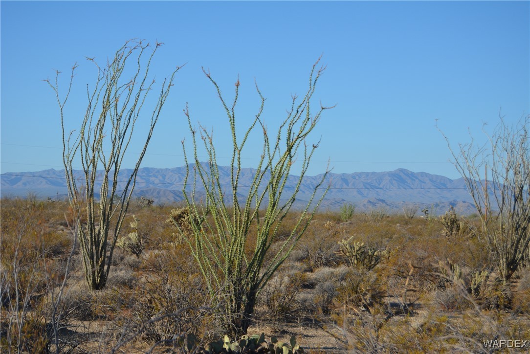 N7 Castle Butte Road Yucca, AZ 86438 - Photo 65 of 80 View