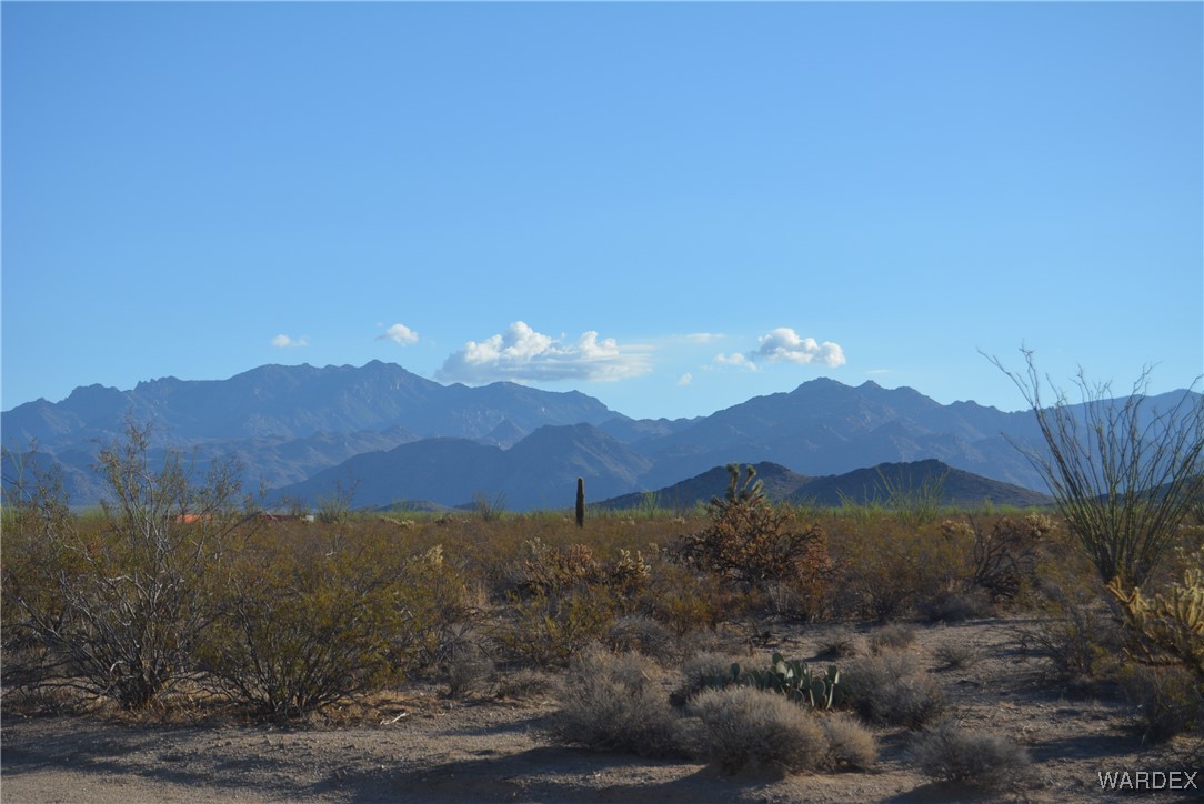 N7 Castle Butte Road Yucca, AZ 86438 - Photo 66 of 80 View