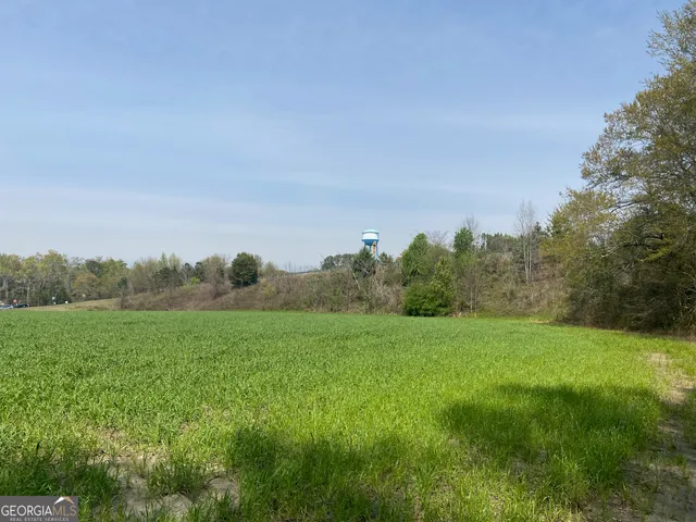 a view of grassy field with trees