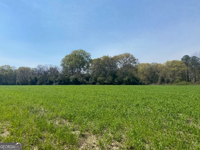 a view of field with green space