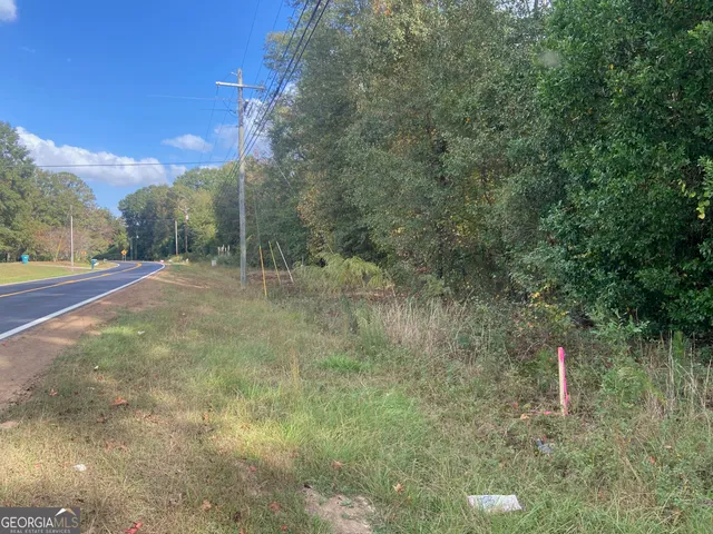 a view of a field with trees in the background