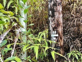 11-1863 Kolea Street Mountain View, HI 96771 - Photo 11 of 16