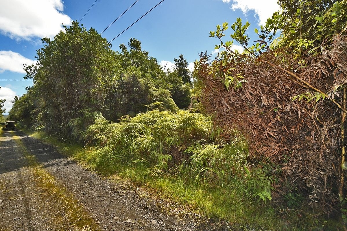 11-1863 Kolea Street Mountain View, HI 96771 - Photo 12 of 16 a view of a plants with a tree