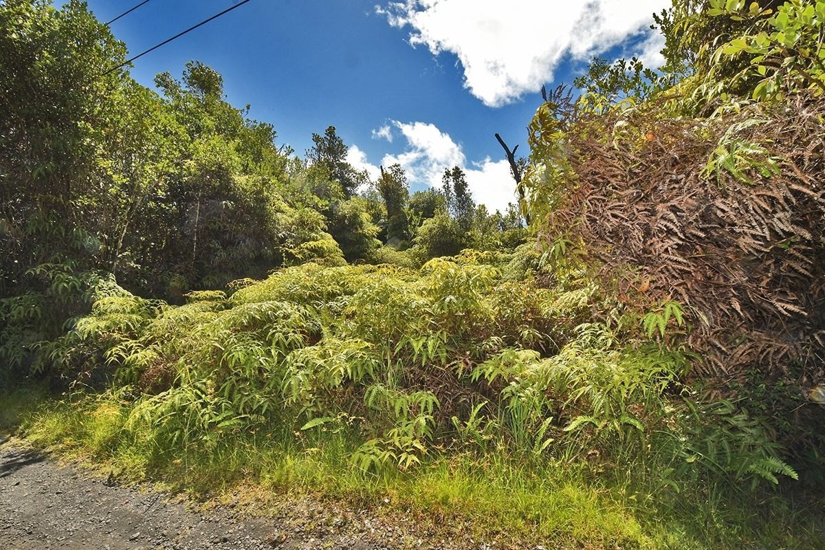 11-1863 Kolea Street Mountain View, HI 96771 - Photo 14 of 16 a view of a bunch of flowers
