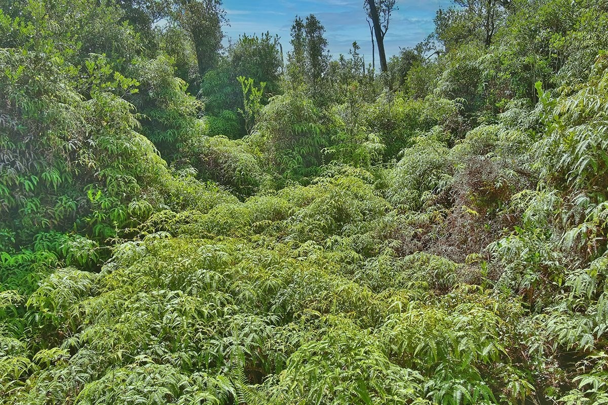 11-1863 Kolea Street Mountain View, HI 96771 - Photo 15 of 16 an aerial view of residential house with outdoor space and trees all around